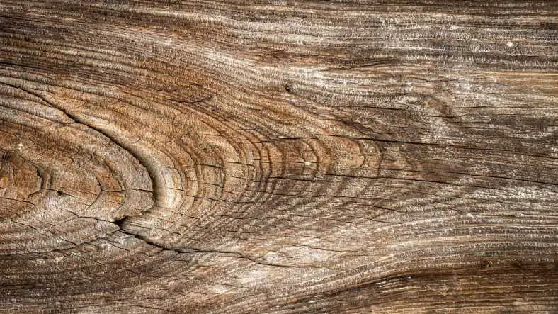 How to identify split firewood