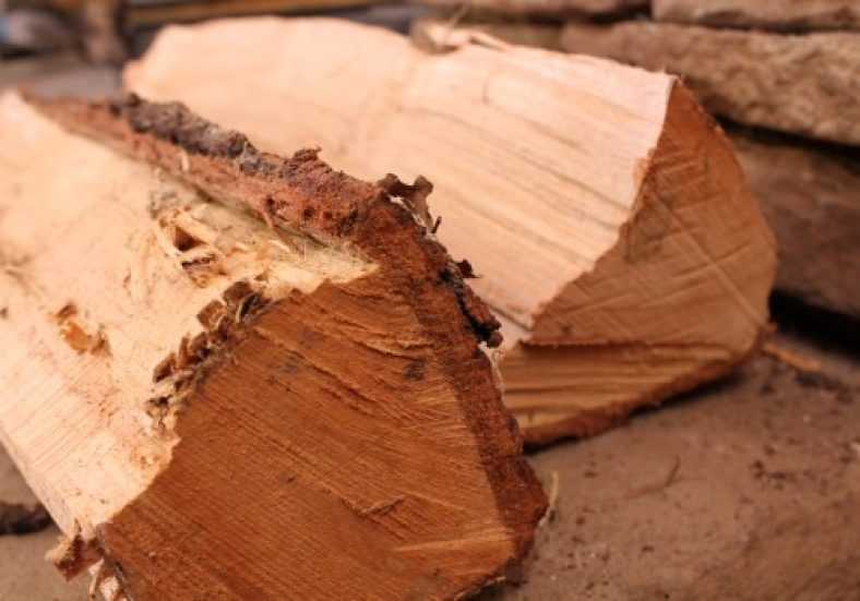 What size log splitter do I need? – A Comprehensive Guide