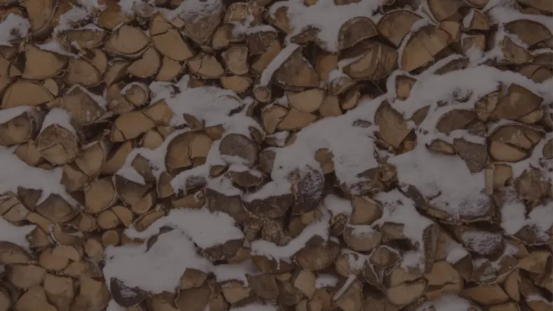 What is the Best Way to Season Firewood?