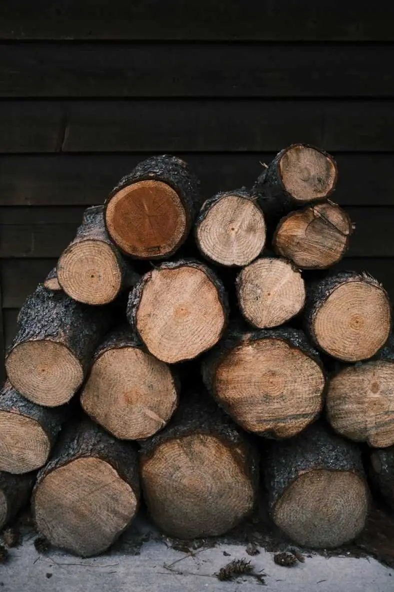 20 Ton Brave Log Splitter Review – A Heroic Machine.