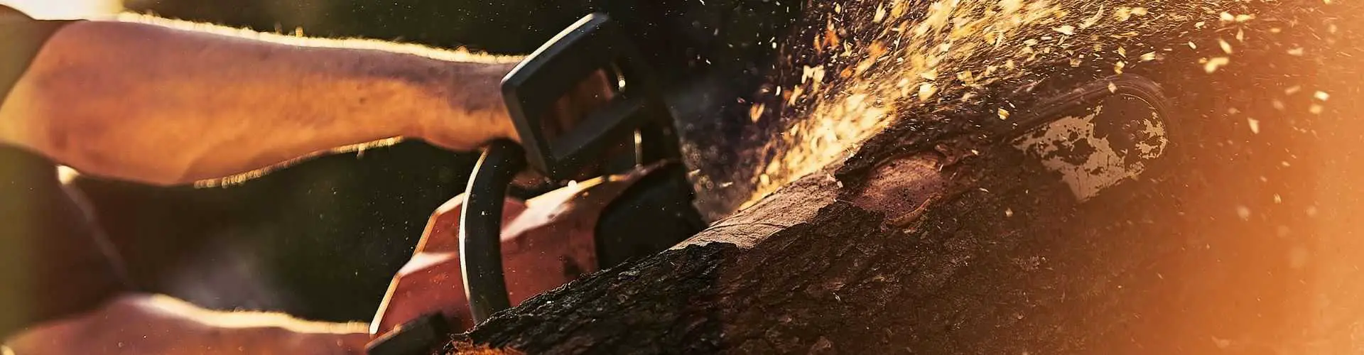 Husqvarna vs Echo A Chainsaw Showdown