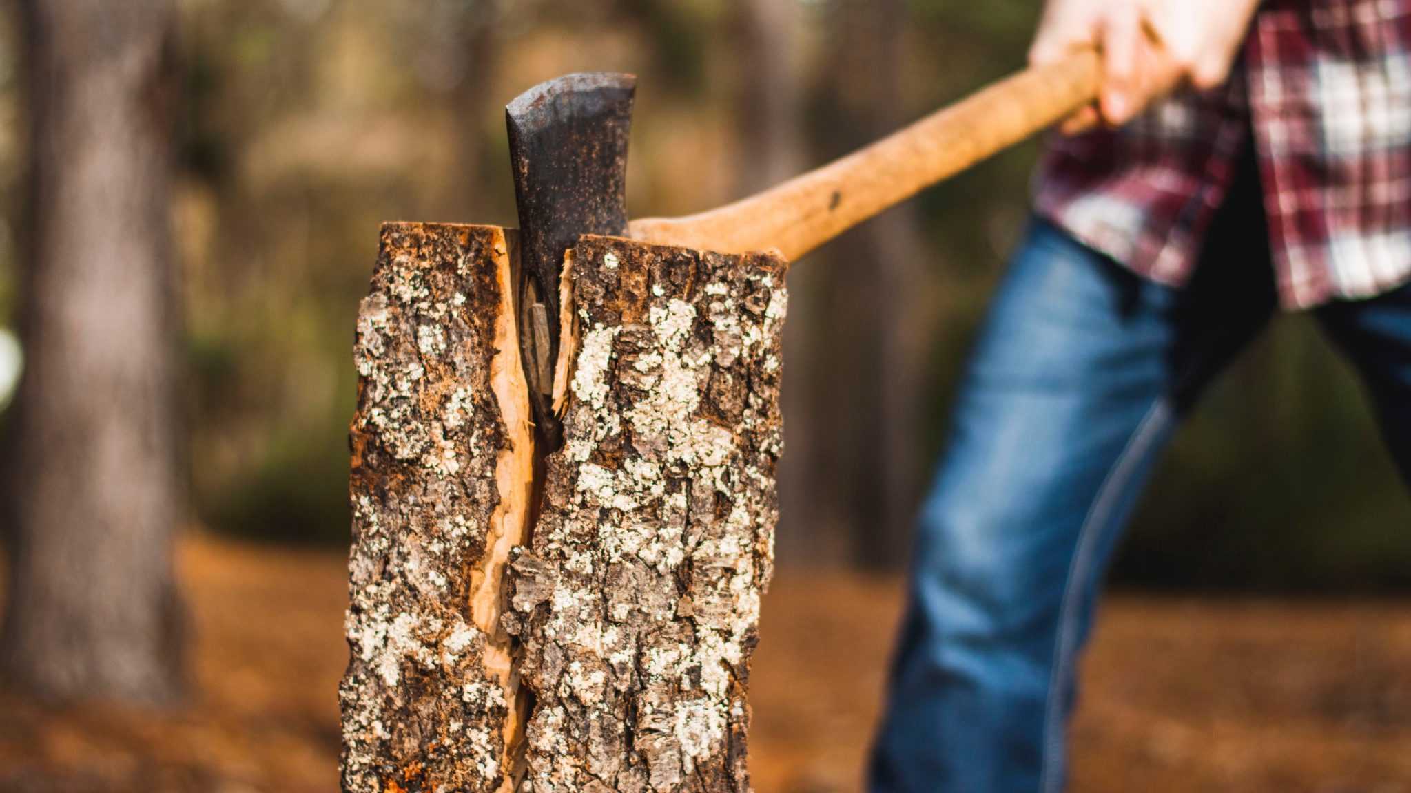 How Long To Dry Split Firewood 9 Clear Signals