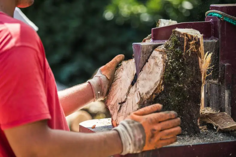 How Much is a Log Splitter? – Your 3 Best Options