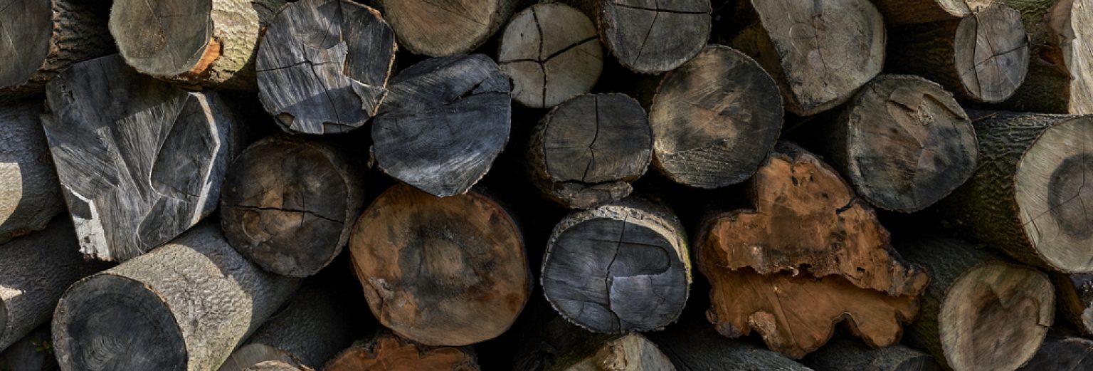 How to Identify Split Firewood 5 Assured Methods