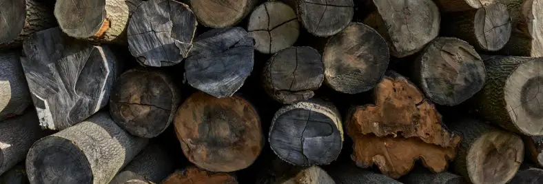 Champion vs Countyline Log Splitter – A Real User Showdown