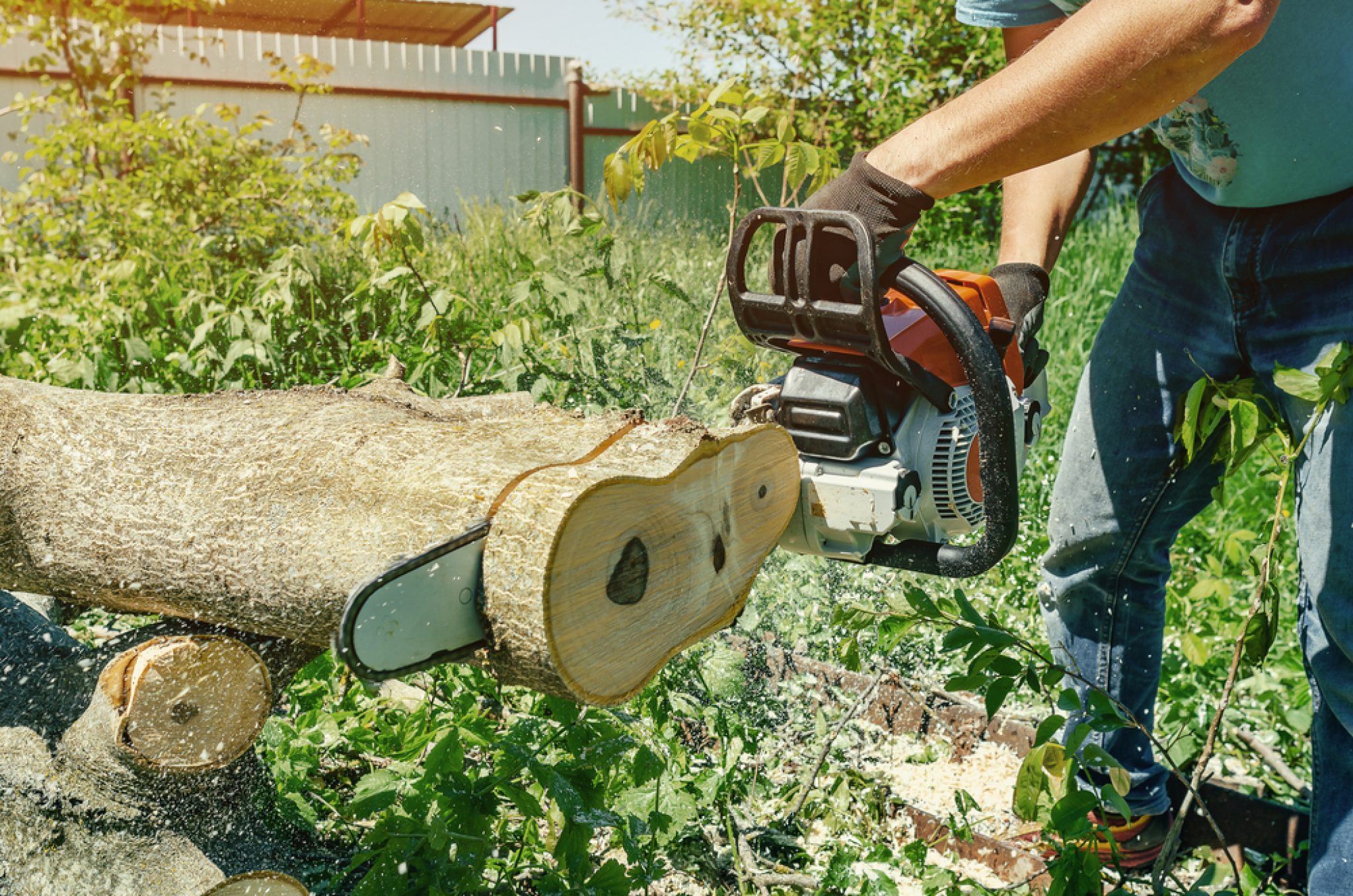 What is the Best Stihl Chainsaw for a Homeowner?