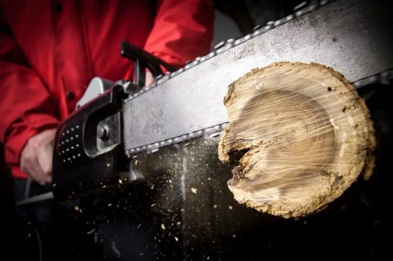 Who Makes The Best Chainsaw Chain – 5 Best!
