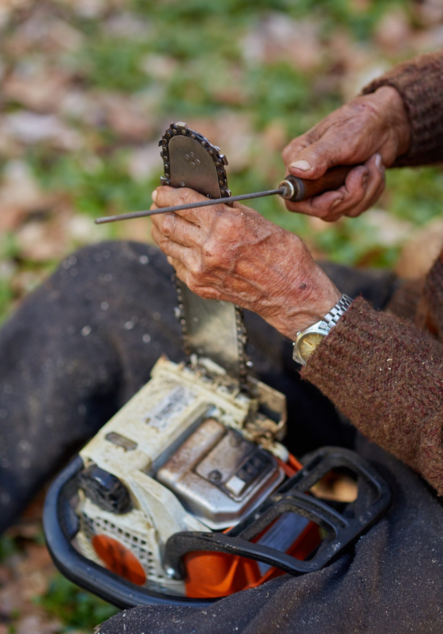 25 or 30? What is the Best Angle to Sharpen a Chainsaw?