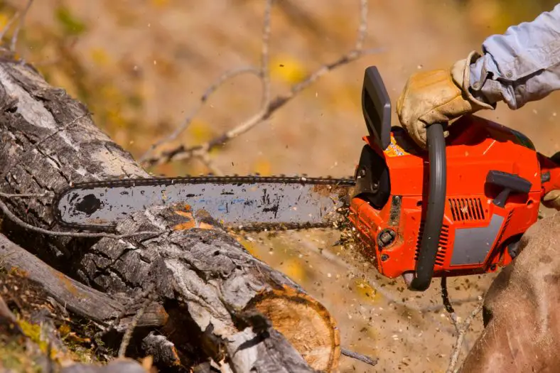 Which Stihl Chainsaw is Best For Me? An In-Depth Guide